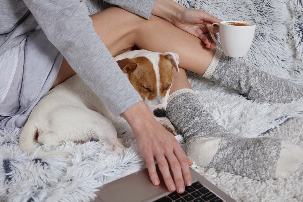 Frau sitzt auf einem Bett mit Hund, Kaffee und Laptop.